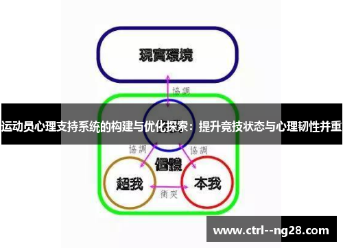 运动员心理支持系统的构建与优化探索：提升竞技状态与心理韧性并重