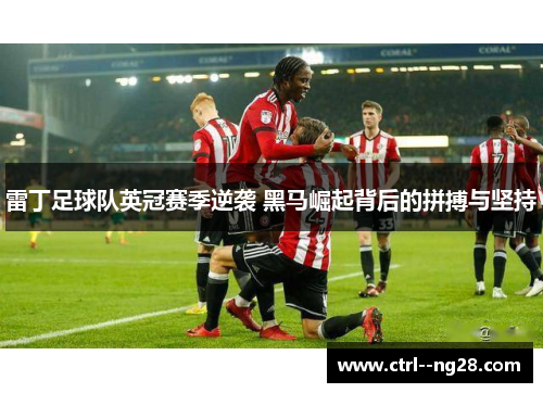 雷丁足球队英冠赛季逆袭 黑马崛起背后的拼搏与坚持 雷丁足球队英冠赛季逆袭 黑马崛起背后的拼搏与坚持