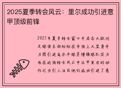 2025夏季转会风云：里尔成功引进意甲顶级前锋