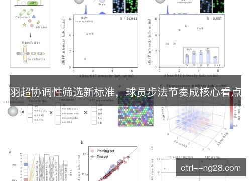 羽超协调性筛选新标准，球员步法节奏成核心看点
